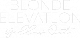 Logo-Blonde-Elevation-2021